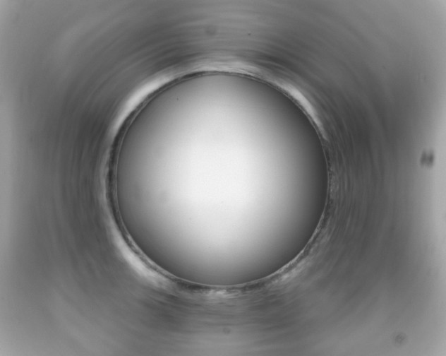 X0000091851139200709050930