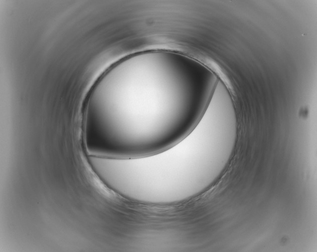 X0000091851140200709050930