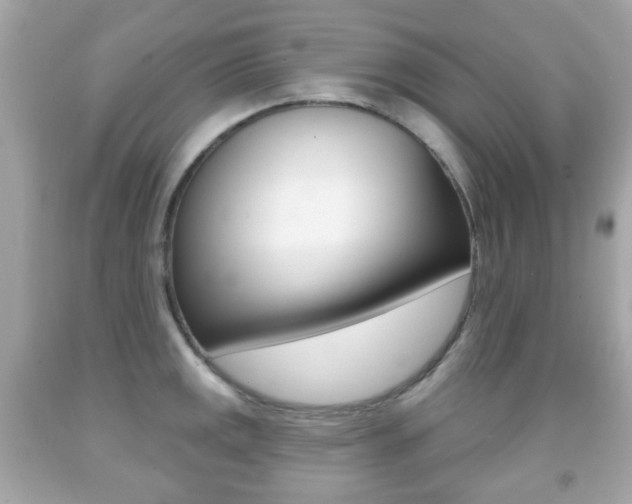 X0000091851141200709050930