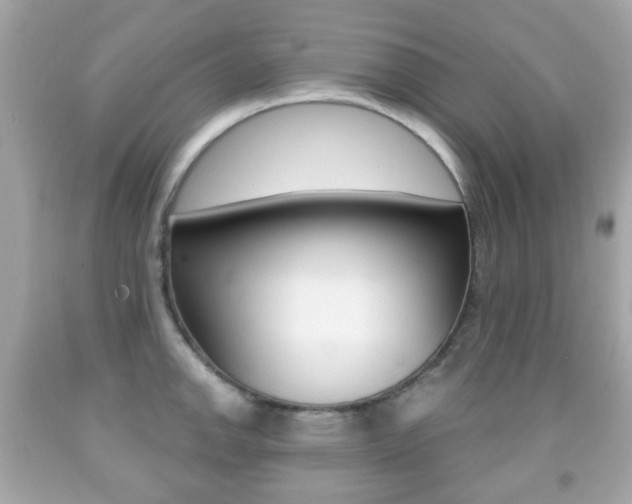 X0000091851142200709050930
