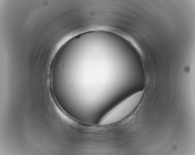 X0000091851143200709050930