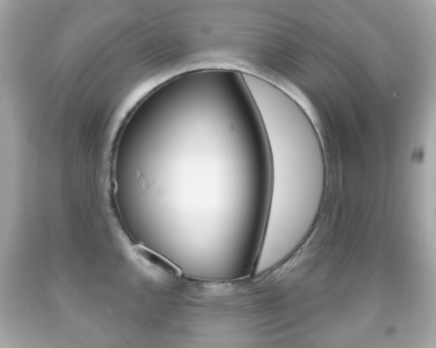 X0000091851144200709050930