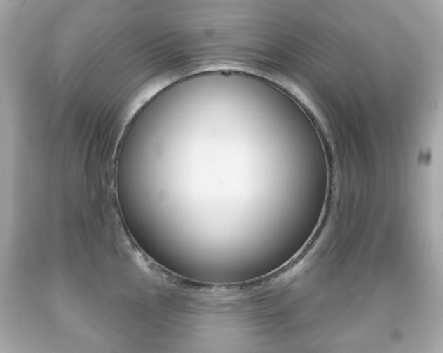 X0000091851145200709050930