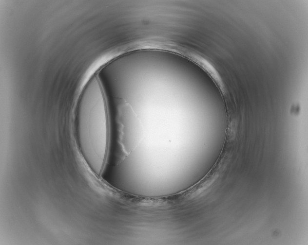 X0000091851146200709050930