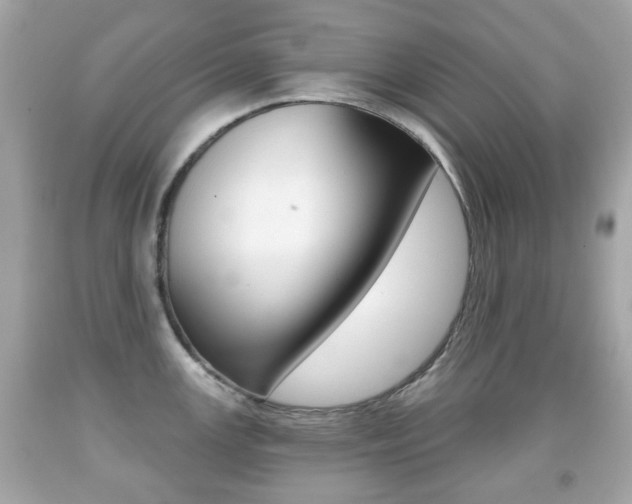 X0000091851147200709050930