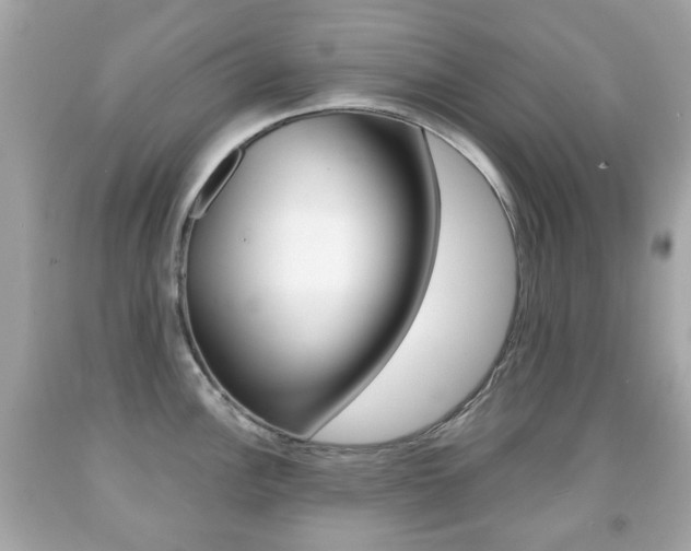 X0000091851148200709050930