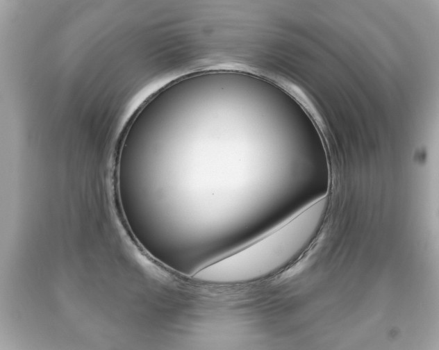 X0000091851149200709050930