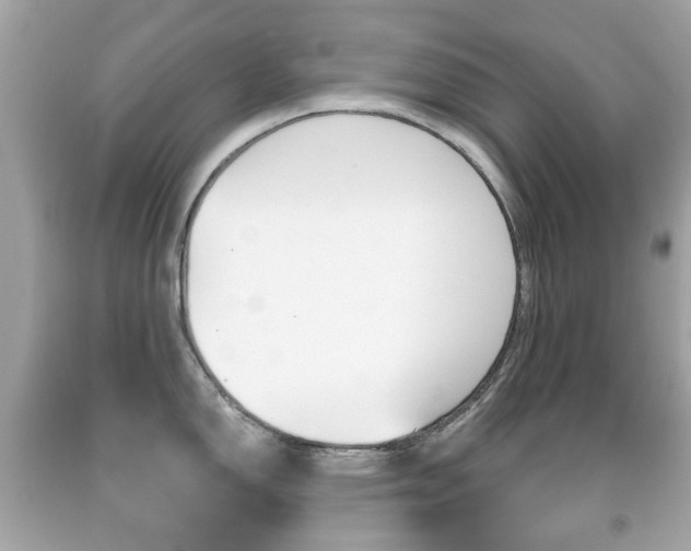 X0000091851150200709050930