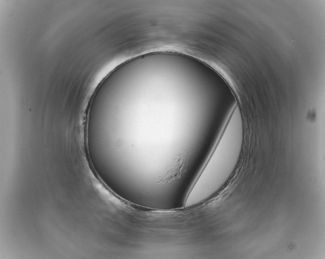 X0000091851151200709050930