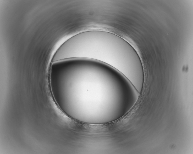X0000091851152200709050930
