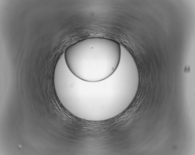 X0000091851153200709050929