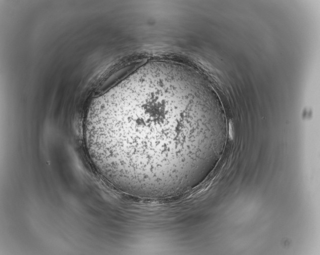 X0000091851155200709050929