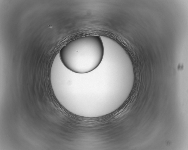 X0000091851156200709050929