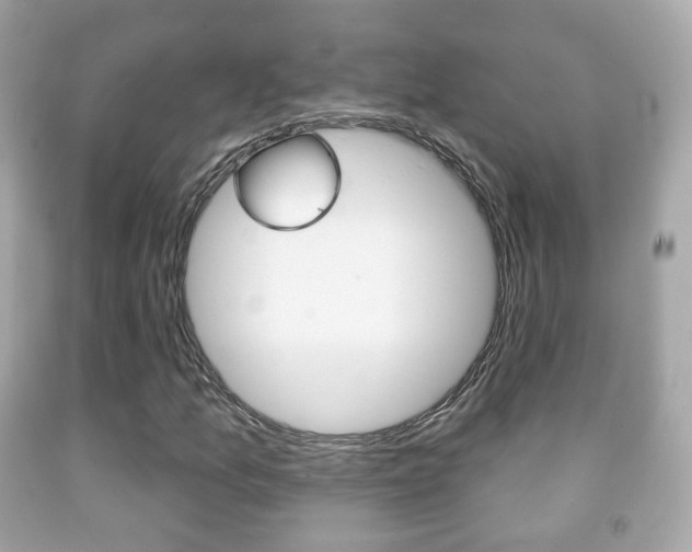 X0000091851157200709050929