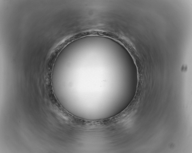 X0000091851159200709050929