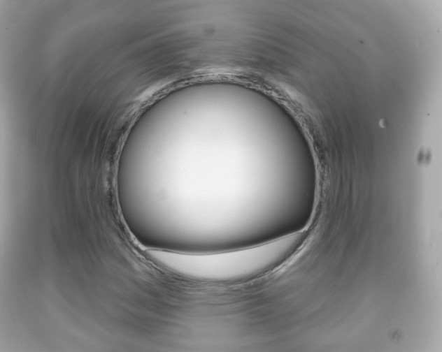 X0000091851161200709050929