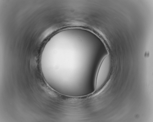 X0000091851163200709050929