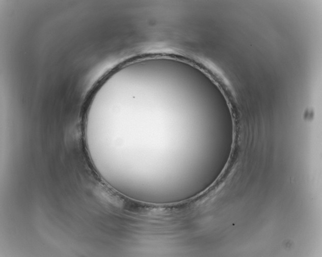 X0000091851167200709050929