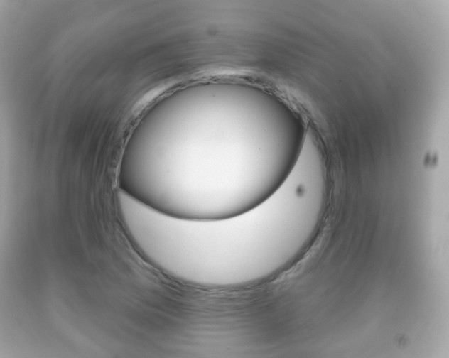 X0000091851169200709050929