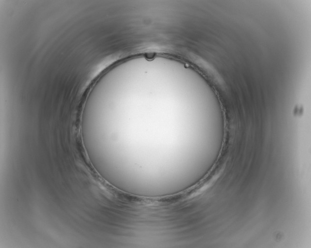 X0000091851170200709050929