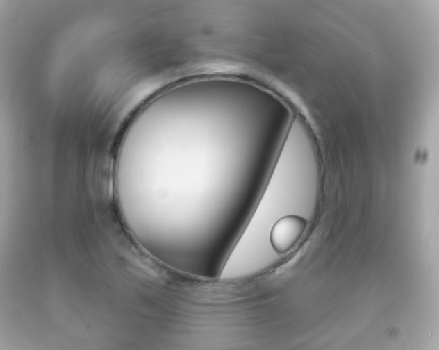 X0000091851171200709050929