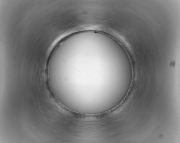 X0000091851174200709050929