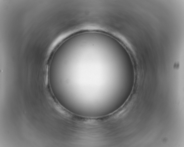 X0000091851175200709050929