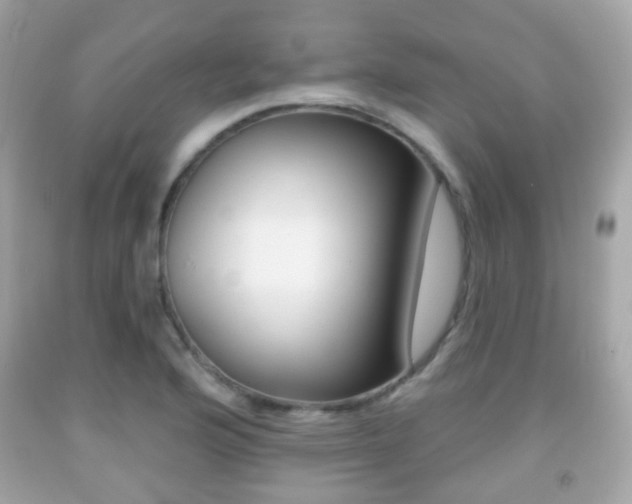 X0000091851176200709050929