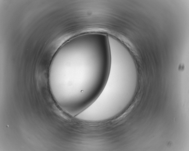 X0000091851177200709050929