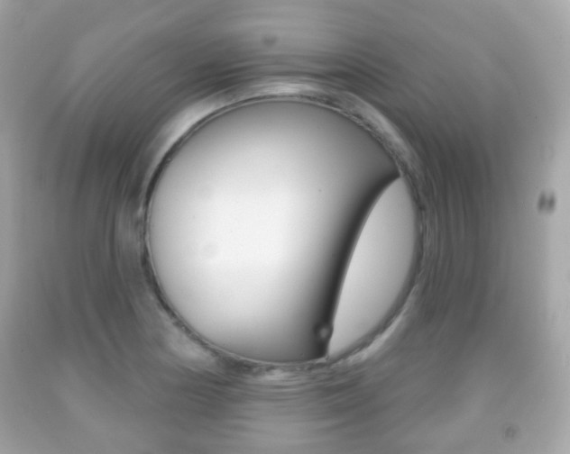 X0000091851178200709050929