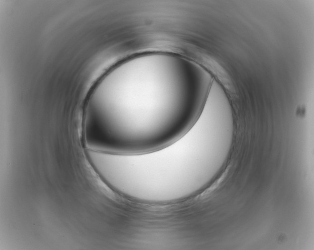 X0000091851180200709050929