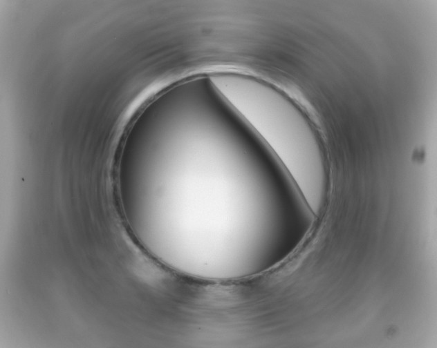 X0000091851181200709050929