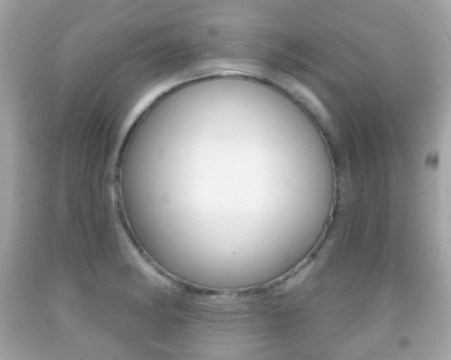 X0000091851182200709050929