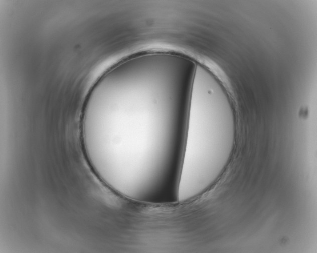X0000091851183200709050929