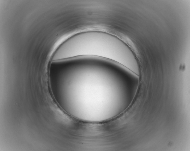X0000091851184200709050929