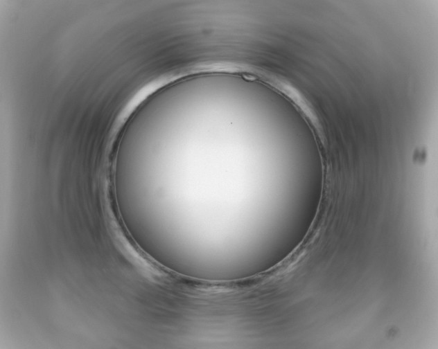 X0000091851187200709050929