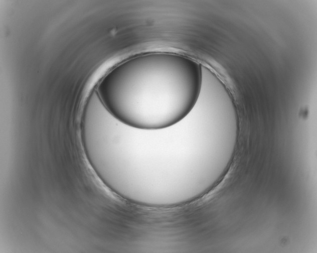 X0000091851188200709050929