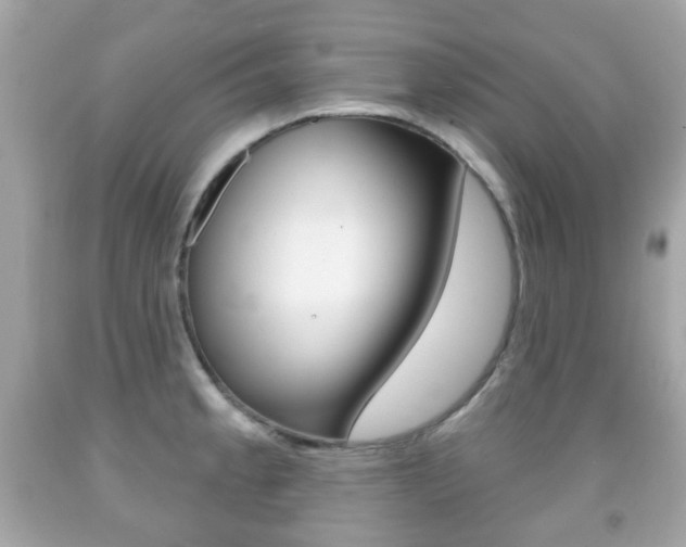 X0000091851189200709050929