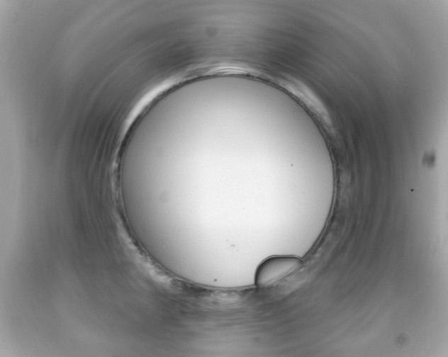 X0000091851190200709050929