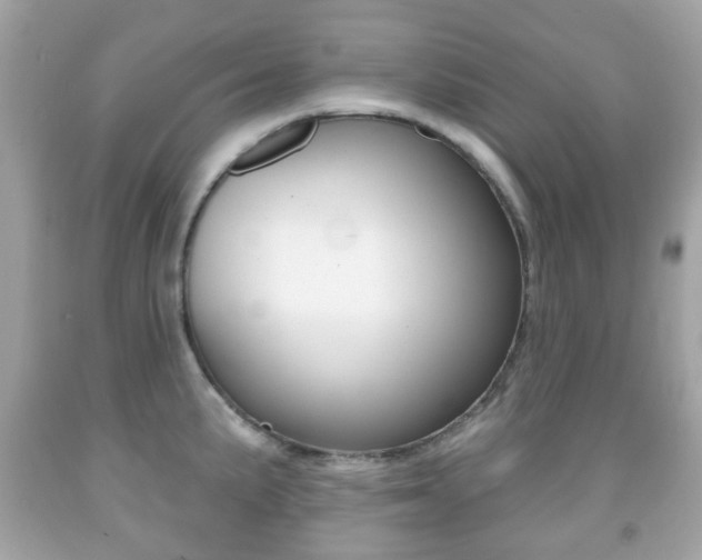 X0000091851191200709050929