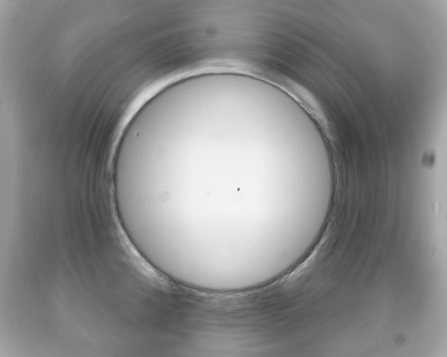 X0000091851192200709050929