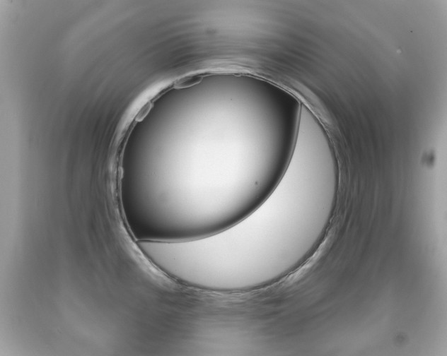 X0000091851196200709050929