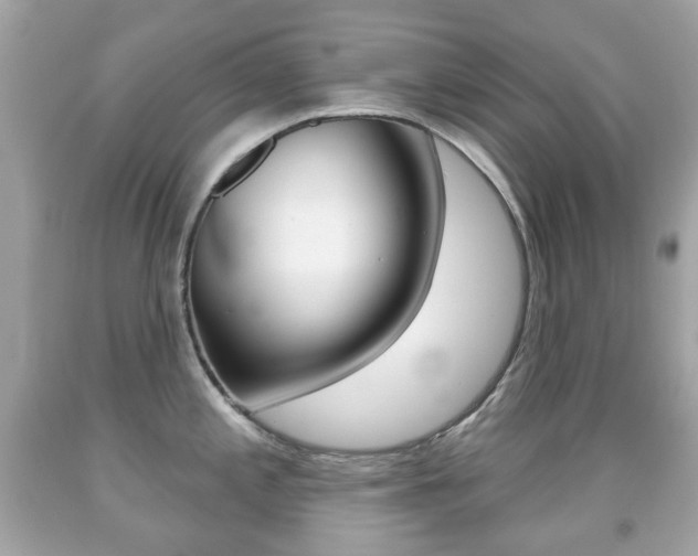 X0000091851197200709050929