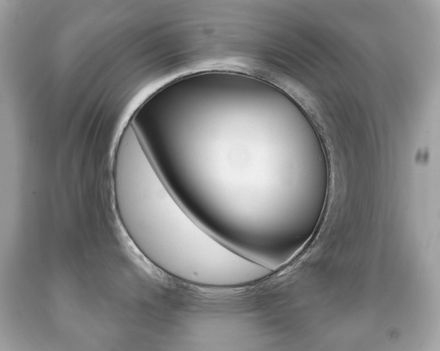 X0000091851200200709050929