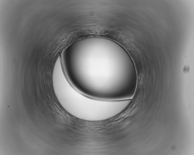 X0000091851202200709050928