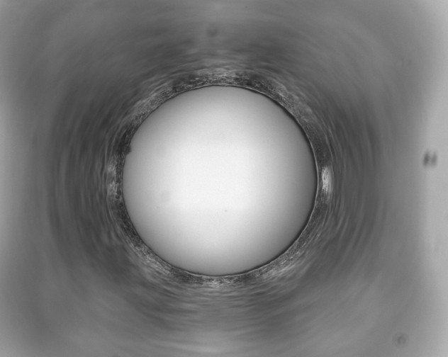 X0000091851203200709050928