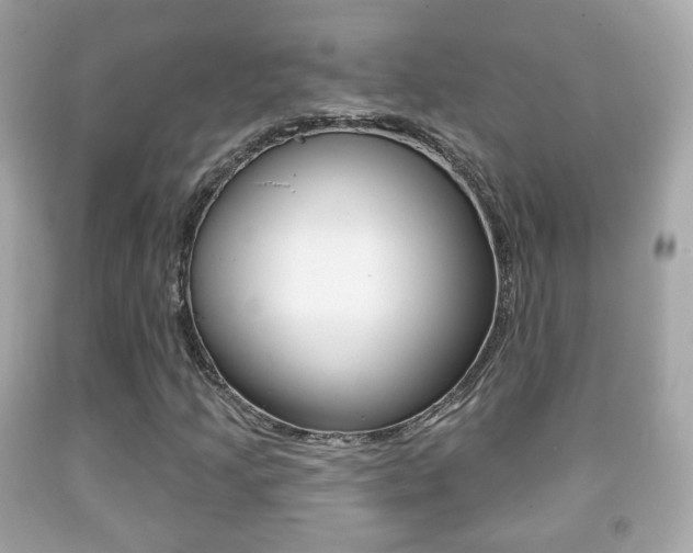 X0000091851205200709050928