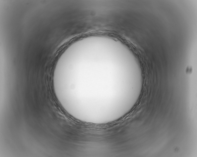 X0000091851206200709050928