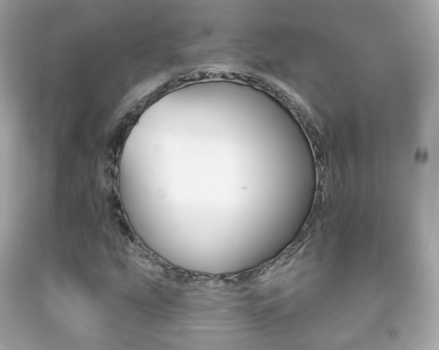 X0000091851207200709050928
