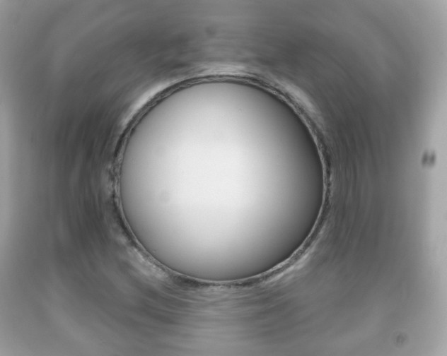 X0000091851212200709050928